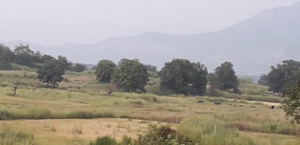Karjat Mountain Villa Exteriér fotografie