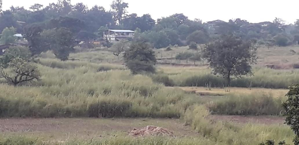 Karjat Mountain Villa Exteriér fotografie